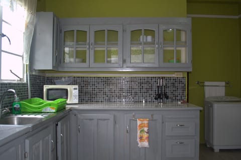 Tobago Apartment | Private kitchen | Fridge, microwave, stovetop