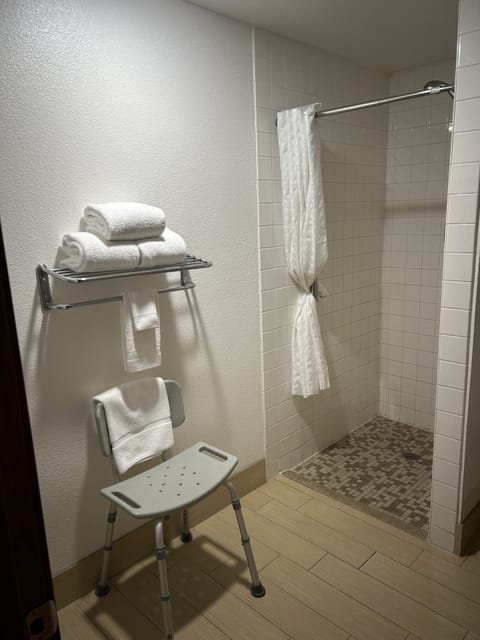 Combined shower/tub, free toiletries, hair dryer, towels