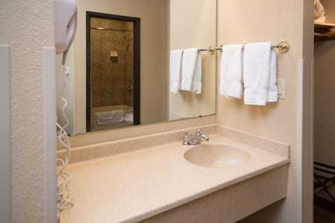 Family Suite - Water Park Included | Bathroom | Combined shower/tub, free toiletries, hair dryer, towels