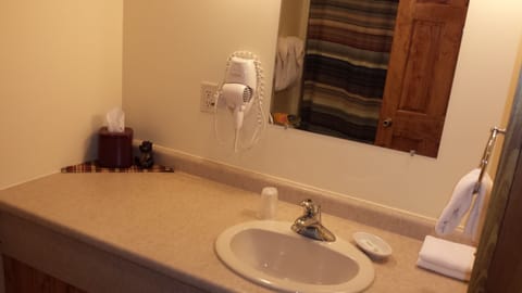 Combined shower/tub, free toiletries, hair dryer, towels