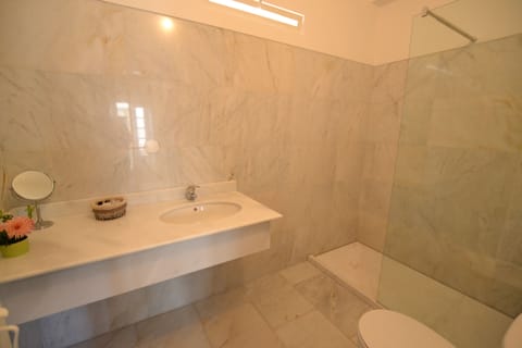 Double Room | Bathroom | Shower, hair dryer, towels