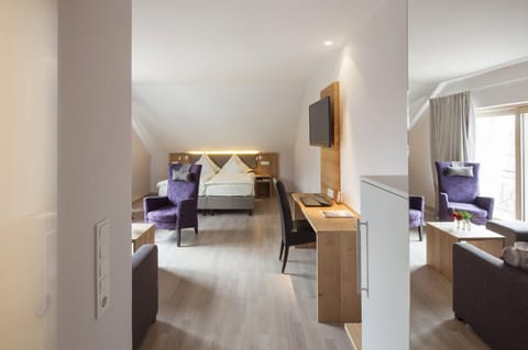 Comfort Double Room, 1 Bedroom | Living area | Toys