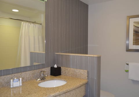 Combined shower/tub, free toiletries, hair dryer, towels