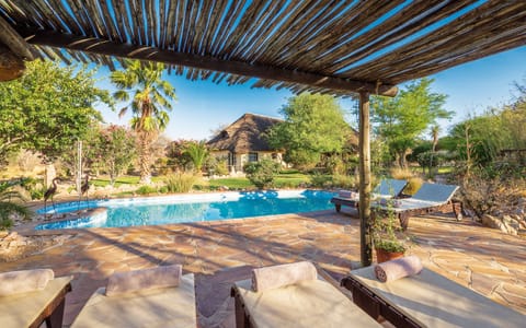 Outdoor pool, sun loungers