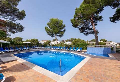 Outdoor pool, open 9:00 AM to 8:00 PM, pool umbrellas, sun loungers