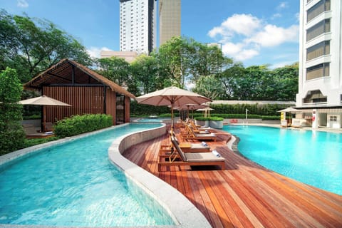 Outdoor pool, sun loungers