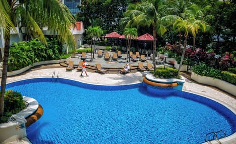 Outdoor pool, sun loungers