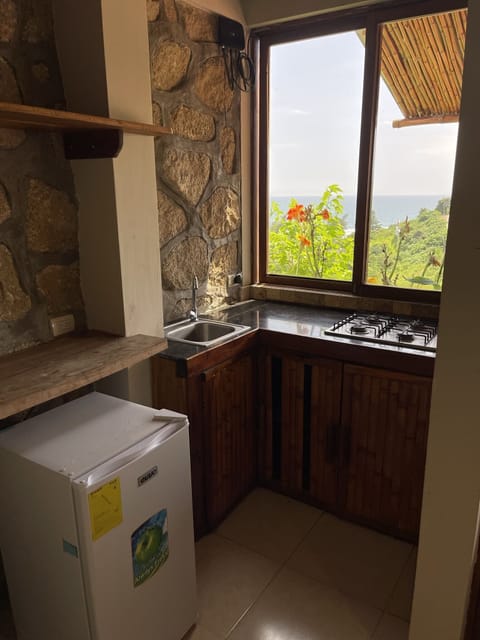 Deluxe Room | Private kitchen | Fridge, dishwasher, cookware/dishes/utensils