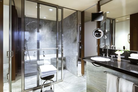 Separate tub and shower, rainfall showerhead, hair dryer, bathrobes