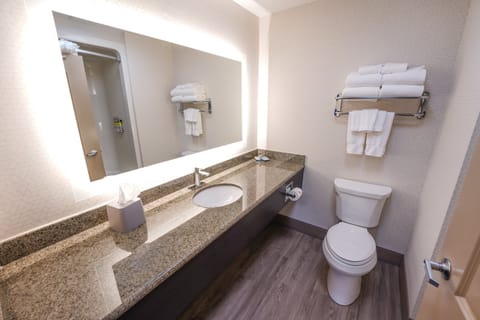 Room, Multiple Beds, Accessible (Communication, Mobility) | Bathroom | Combined shower/tub, hair dryer, towels