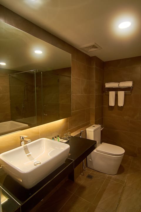 Platinum Suite | Bathroom | Shower, rainfall showerhead, free toiletries, hair dryer