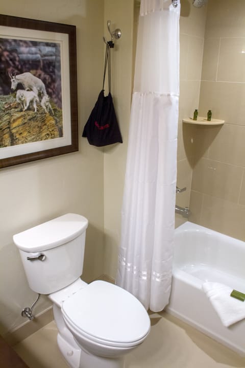 Combined shower/tub, free toiletries, hair dryer, towels