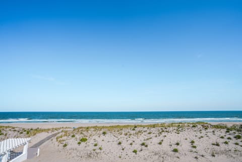 On the beach, white sand, beach bar