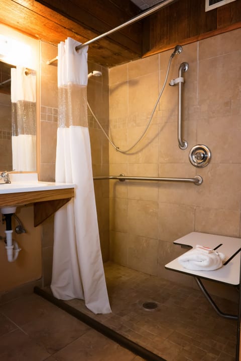 Room, 1 Queen Bed, Accessible, Non Smoking (Mobility) | Bathroom | Combined shower/tub, hair dryer, towels