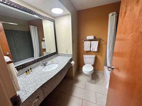 Combined shower/tub, free toiletries, hair dryer, towels