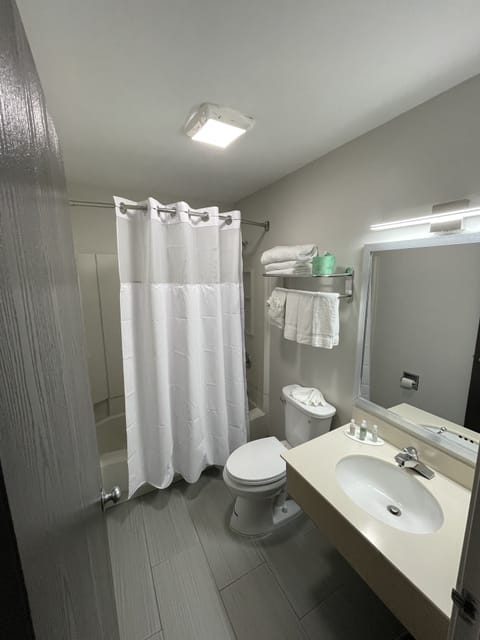 Combined shower/tub, free toiletries, hair dryer, towels