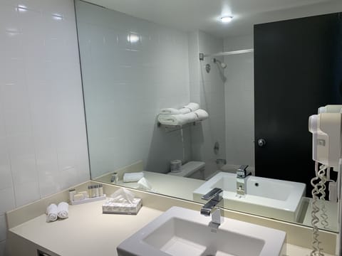 Executive Room, 1 King Bed | Bathroom | Combined shower/tub, rainfall showerhead, designer toiletries