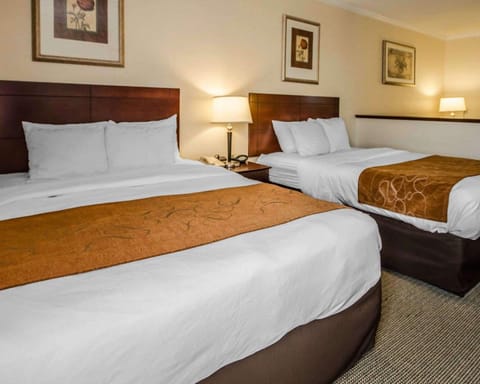 Suite, Multiple Beds, Non Smoking | Premium bedding, desk, laptop workspace, iron/ironing board