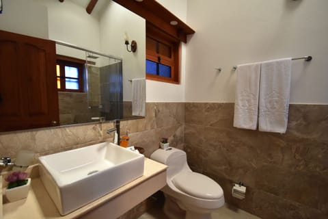 Panoramic Double Room | Bathroom | Shower, free toiletries, towels