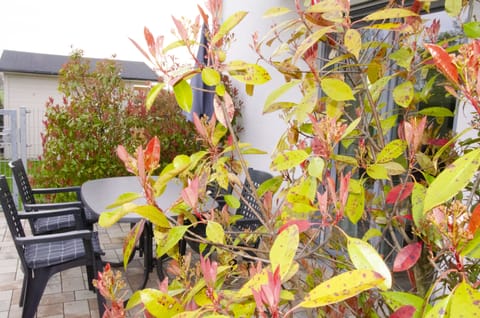 Apartment, 1 Bedroom, with Terrace (First Floor) | Terrace/patio