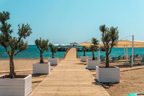 Private beach, black sand, sun loungers, beach umbrellas