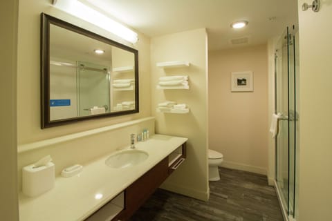 Studio, 1 King Bed, Non Smoking, Refrigerator & Microwave | Bathroom | Combined shower/tub, free toiletries, towels