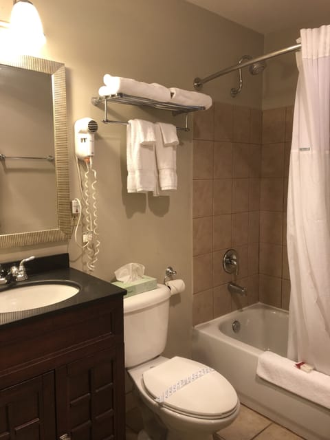 Combined shower/tub, free toiletries, hair dryer, towels