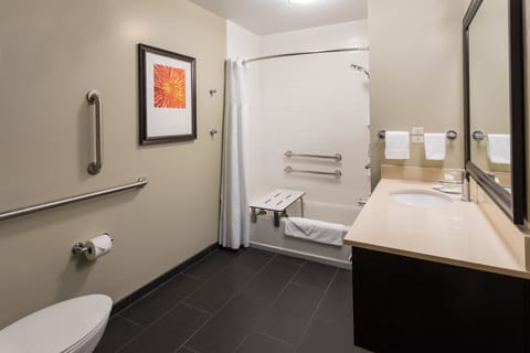 Studio Suite, 1 Queen Bed, Accessible, Kitchen (Mobility, Accessible Tub) | 1 bedroom, desk, laptop workspace, iron/ironing board