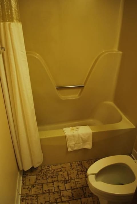 Combined shower/tub, free toiletries, towels