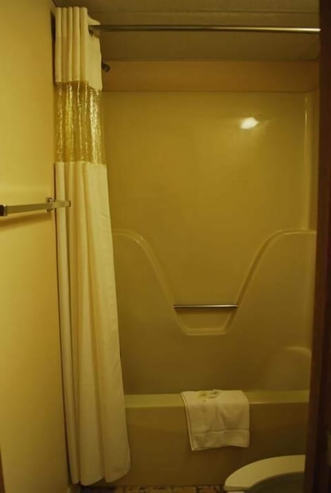 Combined shower/tub, free toiletries, towels