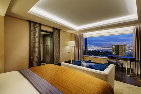 Suite, 1 King Bed (Ambassador) | View from room