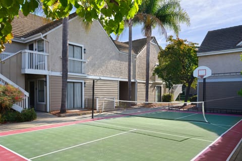 Basketball court