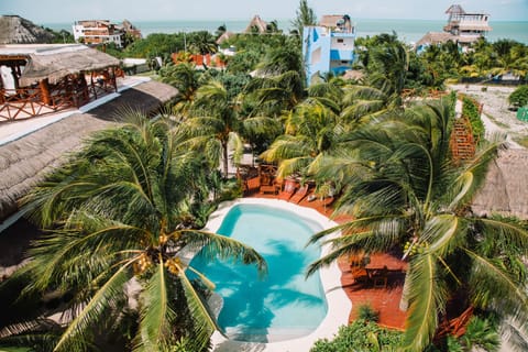 Outdoor pool, sun loungers