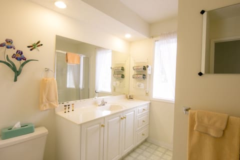 Executive Room, Mountain View | Bathroom | Shower, free toiletries, hair dryer