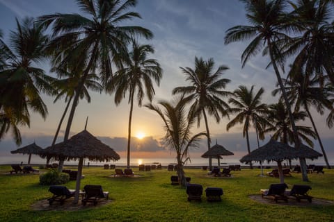 On the beach, white sand, beach umbrellas, beach towels