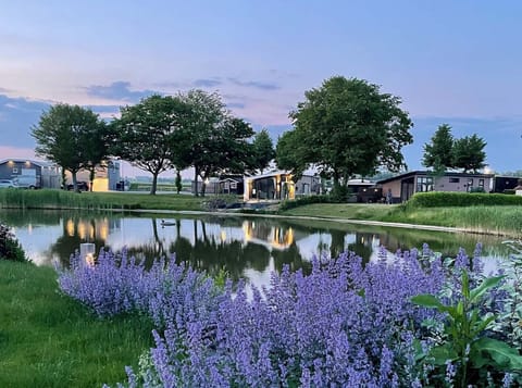 Natuurlodge 4 personen | 2 bedrooms, free cribs/infant beds, WiFi, bed sheets