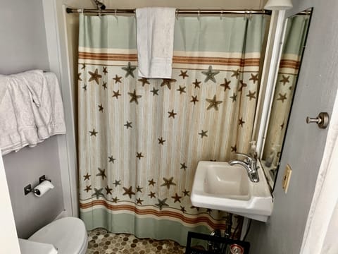 Efficiency Suite | Bathroom | Shower, free toiletries, hair dryer