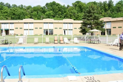 Seasonal outdoor pool, sun loungers