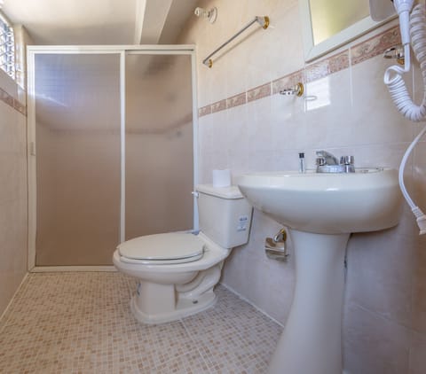 Luxury Room | Bathroom | Shower, free toiletries, hair dryer, towels