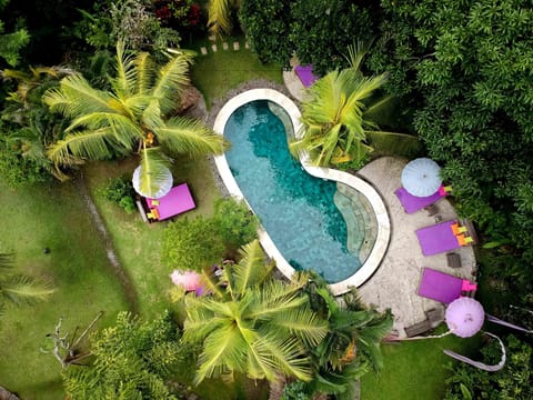 Outdoor pool, sun loungers