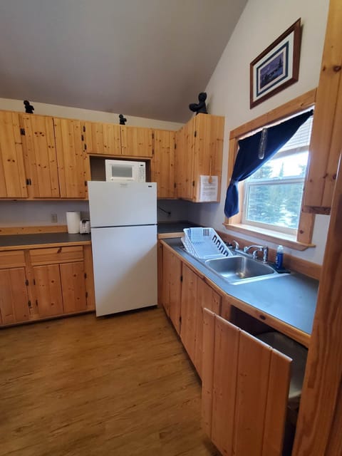 Cabin, 2 Queen Beds, Kitchen, Mountain View | Private kitchen | Full-size fridge, microwave, oven, stovetop