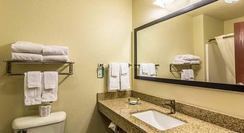 Combined shower/tub, free toiletries, hair dryer, towels