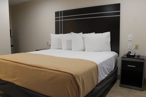 Room, 1 King Bed, Non Smoking | Premium bedding, desk, iron/ironing board, free WiFi