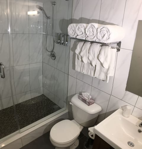 Shower, free toiletries, hair dryer, towels