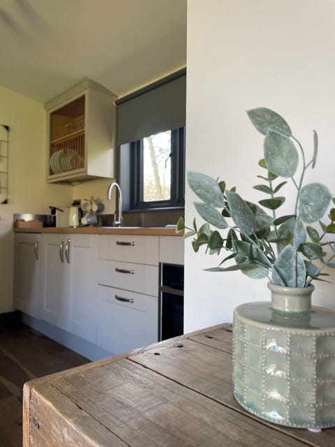 Luxury Cabin, 1 King Bed, Hot Tub | Private kitchen | Coffee/tea maker, electric kettle