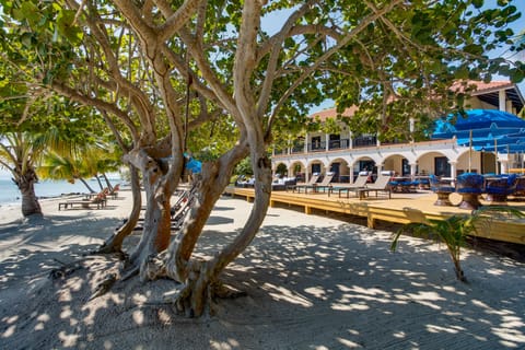 On the beach, white sand, sun loungers, beach umbrellas