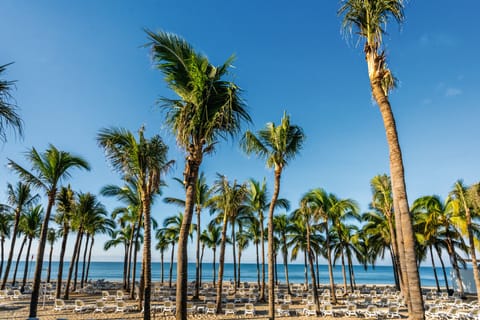 On the beach, sun loungers, beach towels, beach massages