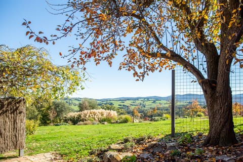 Cottage, Mountain View | Terrace/patio