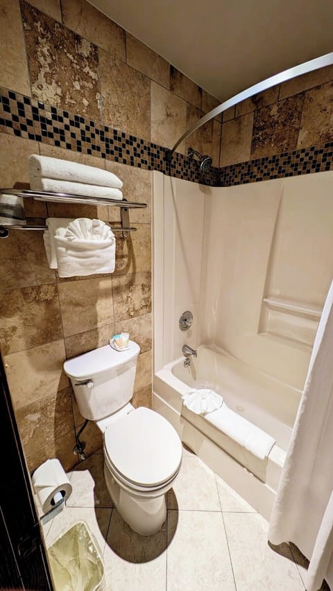 Combined shower/tub, free toiletries, hair dryer, towels