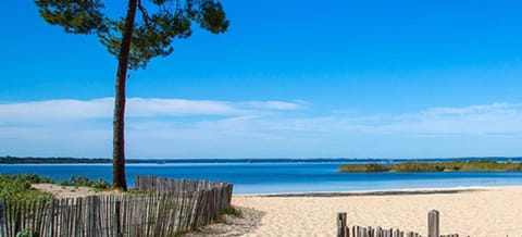 On the beach, white sand, fishing